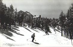 Historic Ski Postcards, Pictures, and Trail Maps